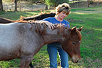 equine rehabilitation